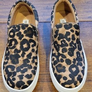 Price Drop...Steve Madden Slip-on Canvas Sneakers